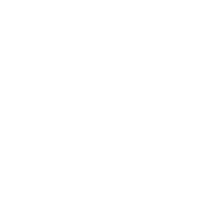 tripadvisor COE.