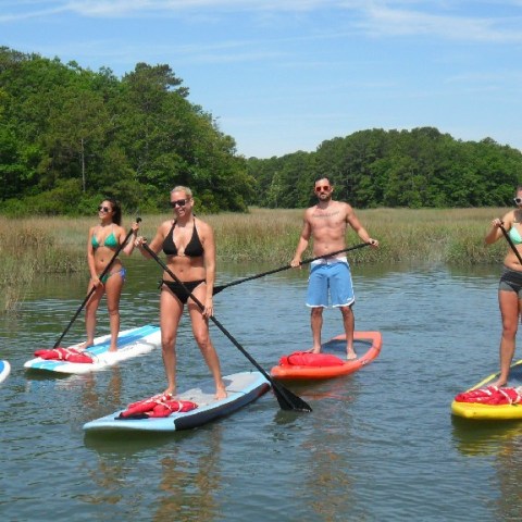 a group of people riding on the back of a boat